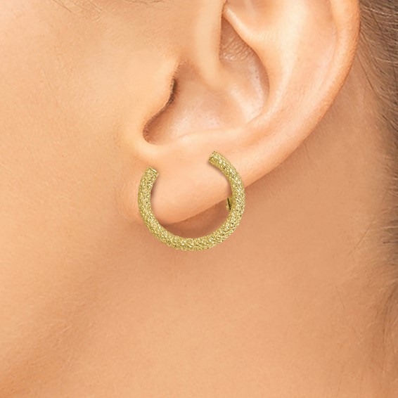 Leslie's Diamond Cut Half Circle Post w/ OM Back Climber Earrings    