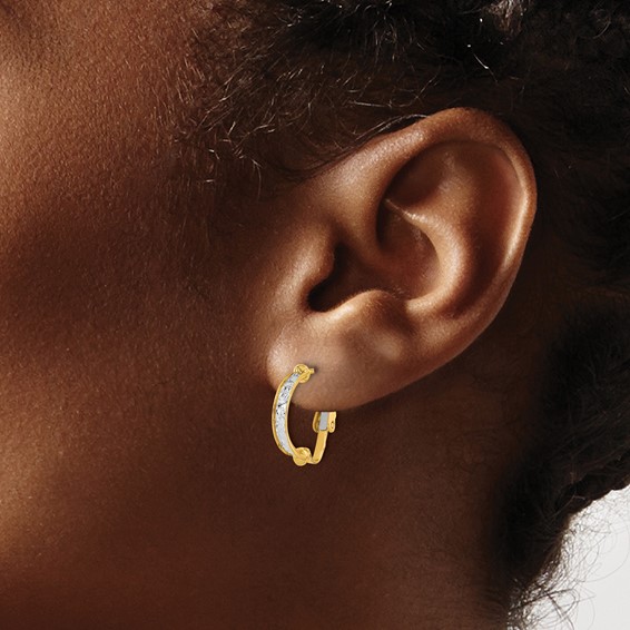 Leslie's 14K Two-tone Polished / Diamond-cut Omega Back Earrings