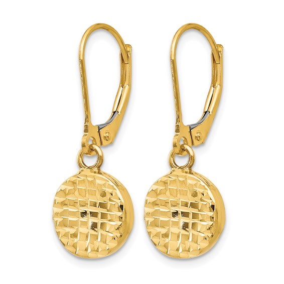Leslie's 14K Polished D/C Leverback Earrings