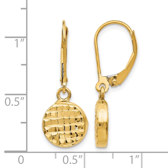 Leslie's 14K Polished D/C Leverback Earrings
