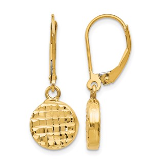 Leslie's 14K Polished D/C Leverback Earrings