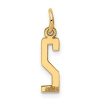 14K Yellow Gold Small Elongated Number 2 Charm view 3