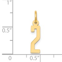 14K Yellow Gold Small Elongated Number 2 Charm view 4