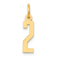 14K Yellow Gold Small Elongated Number 2 Charm view 1