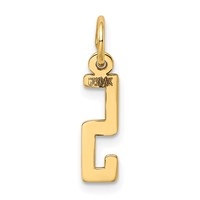 14K Yellow Gold Small Elongated Number 5 Charm view 3
