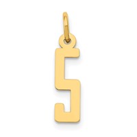 14K Yellow Gold Small Elongated Number 5 Charm view 1