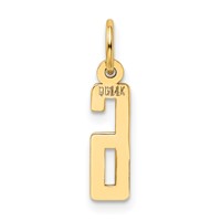 14K Yellow Gold Small Elongated Number 6 Charm view 3