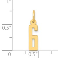 14K Yellow Gold Small Elongated Number 6 Charm view 4
