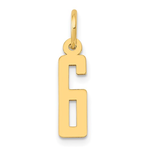 14K Yellow Gold Small Elongated Number 6 Charm