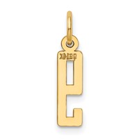 14K Yellow Gold Small Elongated Number 9 Charm view 3