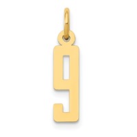 14K Yellow Gold Small Elongated Number 9 Charm view 1
