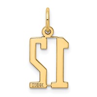 14K Yellow Gold Small Elongated Number 12 Charm view 3