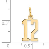 14K Yellow Gold Small Elongated Number 12 Charm view 4