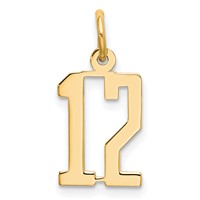 14K Yellow Gold Small Elongated Number 12 Charm view 1