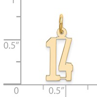 14K Yellow Gold Small Elongated Number 14 Charm view 2