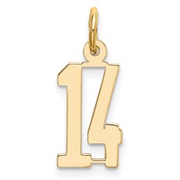 14K Yellow Gold Small Elongated Number 14 Charm view 1