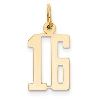 14K Yellow Gold Small Elongated Number 16 Charm view 1