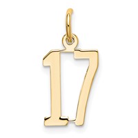 14K Small Elongated Number 17 Charm view 1