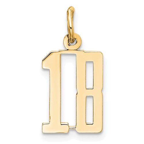 14K Yellow Gold Small Elongated Number 18 Charm