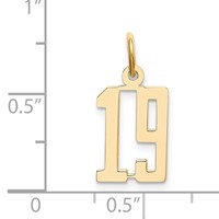 14K Yellow Gold Small Elongated Number 19 Charm view 2