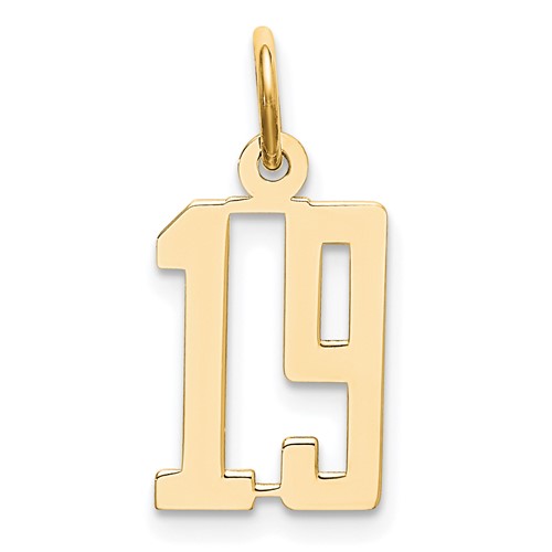 14K Yellow Gold Small Elongated Number 19 Charm