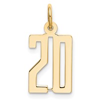 14K Yellow Gold Small Elongated Number 20 Charm view 1