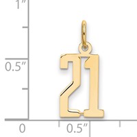 14K Yellow Gold Small Elongated Number 21 Charm view 4
