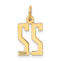 14K Yellow Gold Small Elongated Number 22 Charm view 3