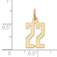 14K Yellow Gold Small Elongated Number 22 Charm view 4