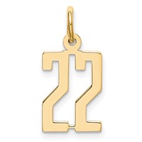 14K Yellow Gold Small Elongated Number 22 Charm view 1