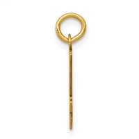 14K Yellow Gold Small Elongated Number 24 Charm view 2