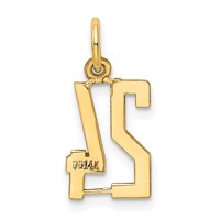 14K Yellow Gold Small Elongated Number 24 Charm view 3