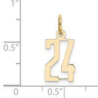 14K Yellow Gold Small Elongated Number 24 Charm view 4