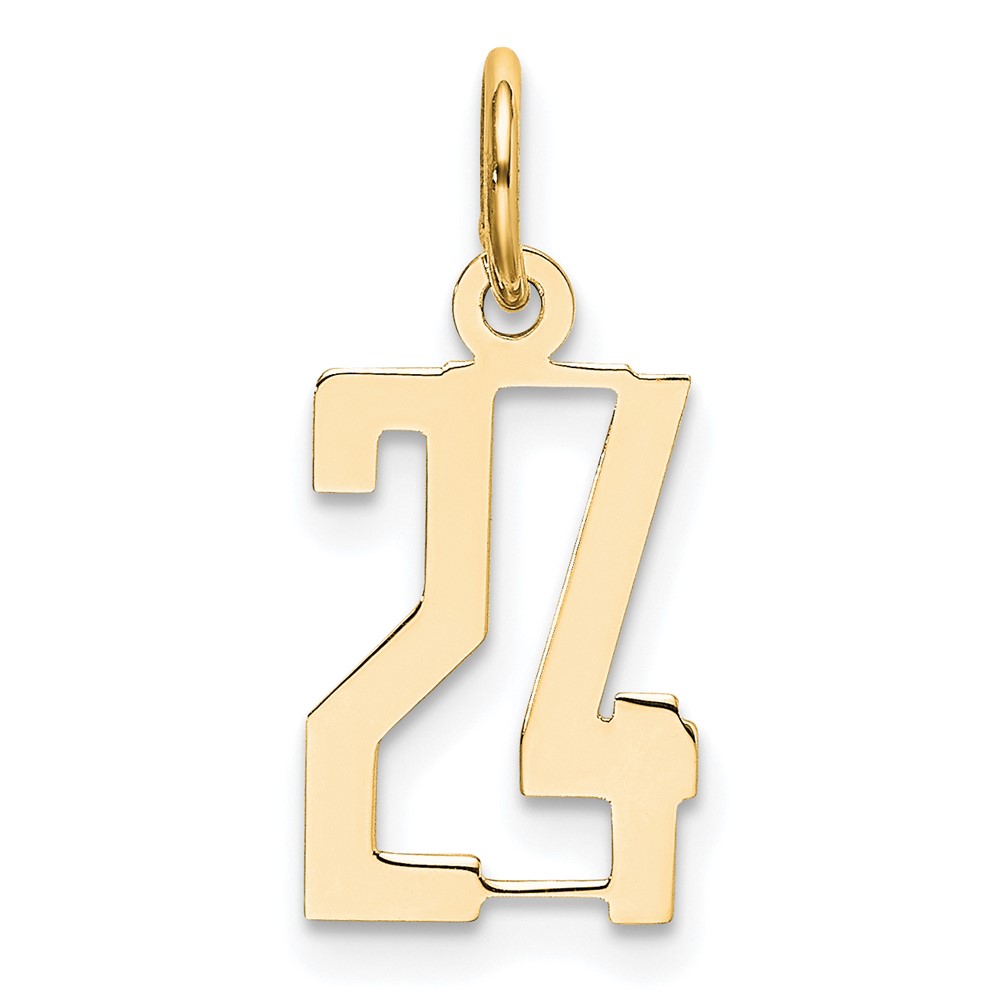 14K Yellow Gold Small Elongated Number 24 Charm
