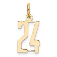 14K Yellow Gold Small Elongated Number 24 Charm view 1