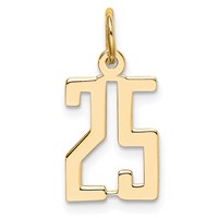 14K Yellow Gold Small Elongated Number 25 Charm view 1
