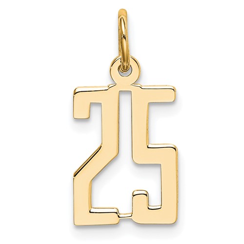 14K Yellow Gold Small Elongated Number 25 Charm