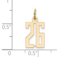 14K Yellow Gold Small Elongated Number 26 Charm view 4
