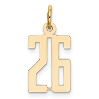 14K Yellow Gold Small Elongated Number 26 Charm view 1