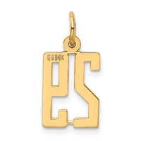 14K Yellow Gold Small Elongated Number 29 Charm view 3