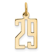 14K Yellow Gold Small Elongated Number 29 Charm view 1