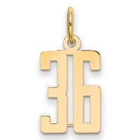14K Yellow Gold Small Elongated Number 36 Charm view 1