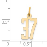 14K Yellow Gold Small Elongated Number 37 Charm view 4