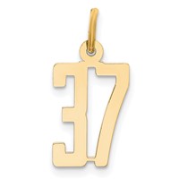 14K Yellow Gold Small Elongated Number 37 Charm view 1