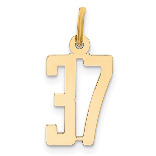 14K Yellow Gold Small Elongated Number 37 Charm