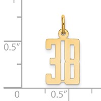14K Yellow Gold Small Elongated Number 38 Charm view 4