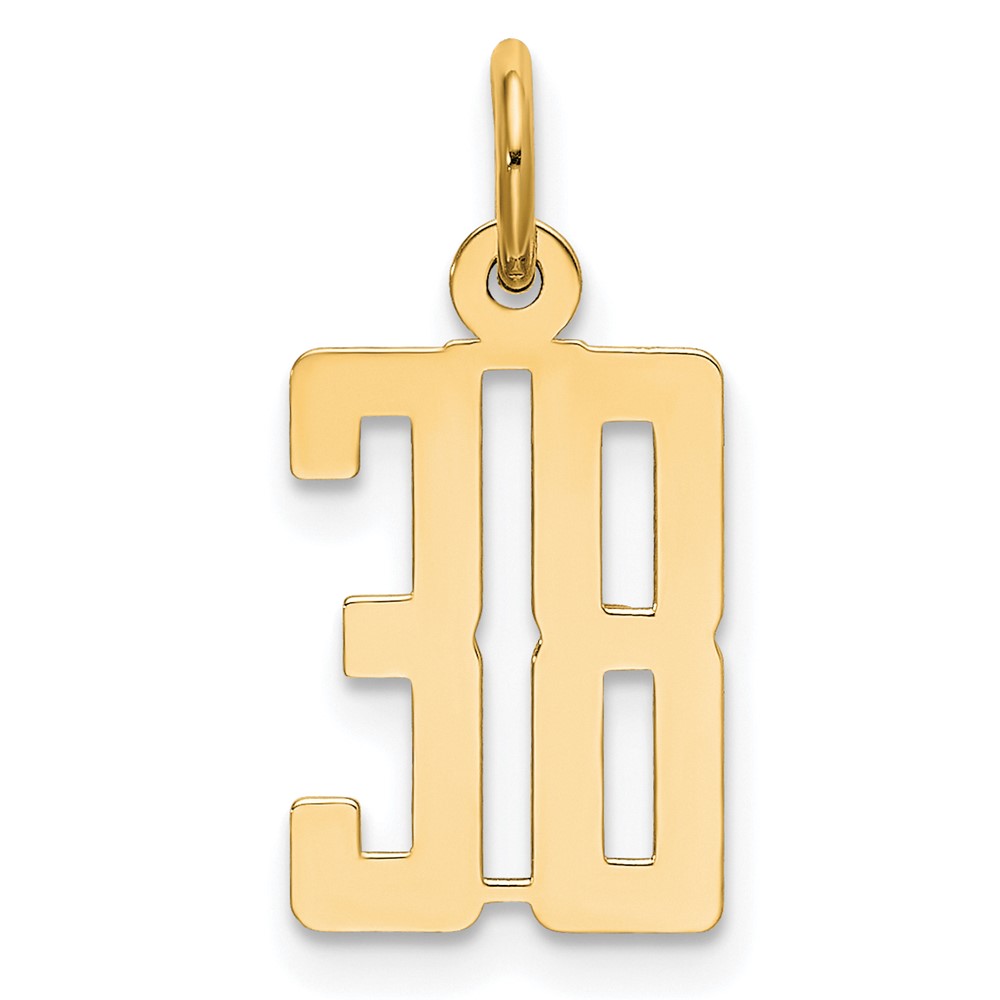 14K Yellow Gold Small Elongated Number 38 Charm