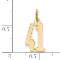 14K Yellow Gold Small Elongated Number 41 Charm view 4