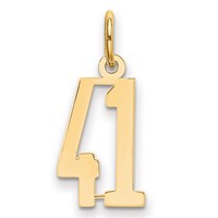 14K Yellow Gold Small Elongated Number 41 Charm view 1