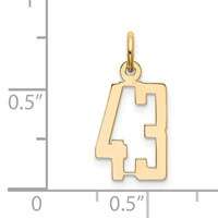 14K Yellow Gold Small Elongated Number 43 Charm view 4